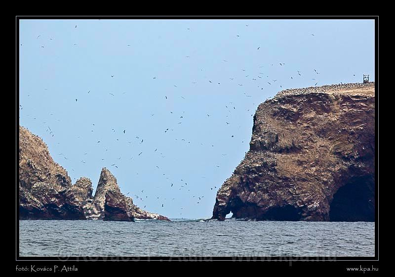 Ballestas Islands 037.jpg